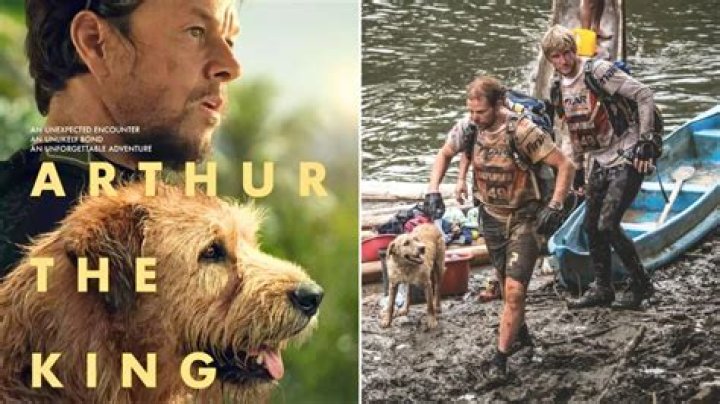 ‘Arthur the King’ – The True Story Behind Mark Wahlberg’s Stray Dog Adventure Movie