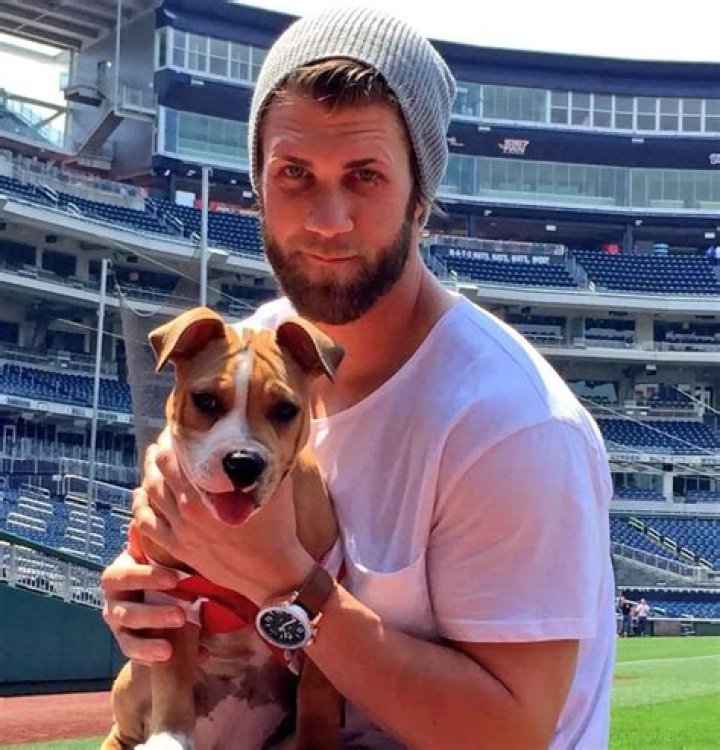 Bryce Harper Pets - Celebrity Pets