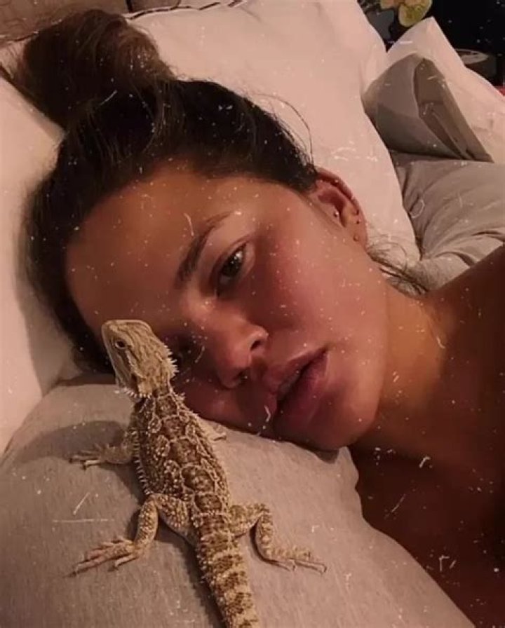 Celebrities with Pet Bearded Dragons