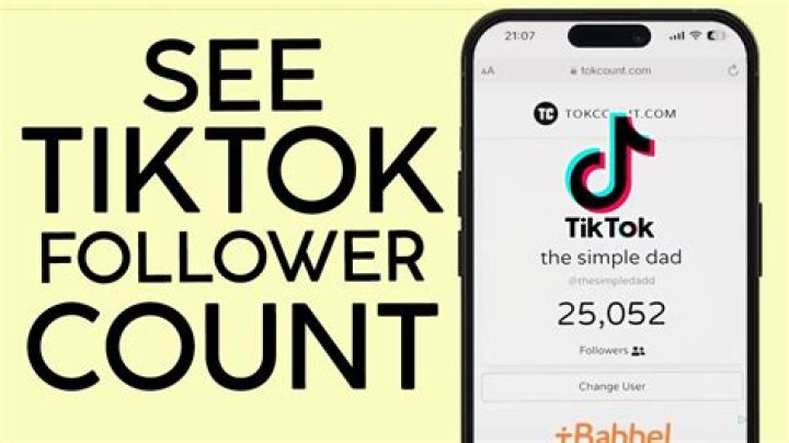 Charli D'Amelio Surpasses Riyaz Aly in TikTok Follower-Count: Here's the Difference Between These Two