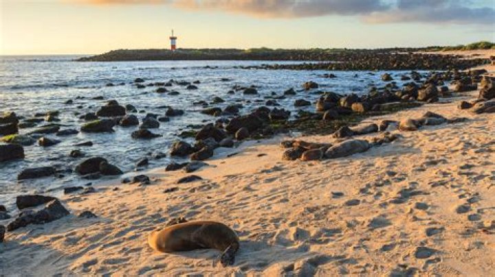 Cruise to Puerto Baquerizo, Ecuador | Cruise to San Cristobal, Ecuador