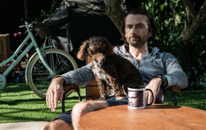 David Tennant Pets - Celebrity Pets