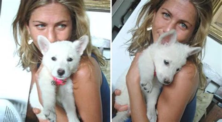 Dolly Forever: Jennifer Aniston Posts Touching Tribute to Her Late Dog