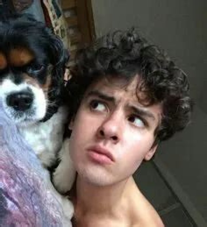 Finlay MacMillan Pets - Celebrity Pets