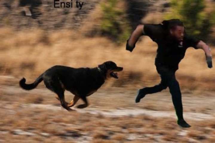 Is UFC Refree Herb Dean Married? Know His Wife, Salary, Net Worth, Age, Memes, House, Running, & More!