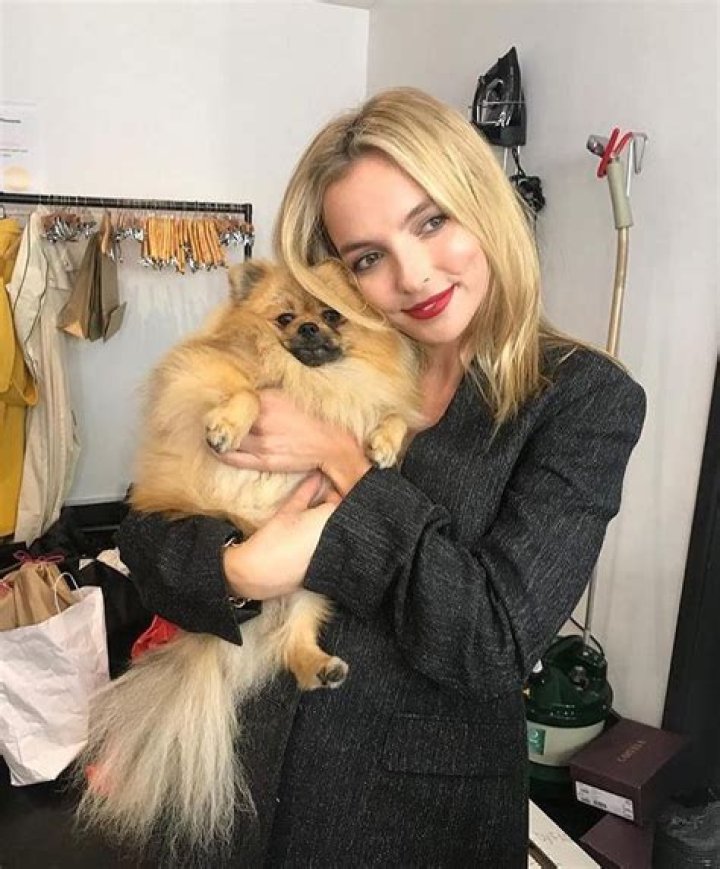 Jodie Comer Pets - Celebrity Pets