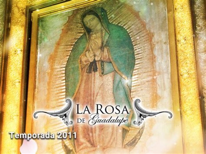 La Rosa de Guadalupe video statistics