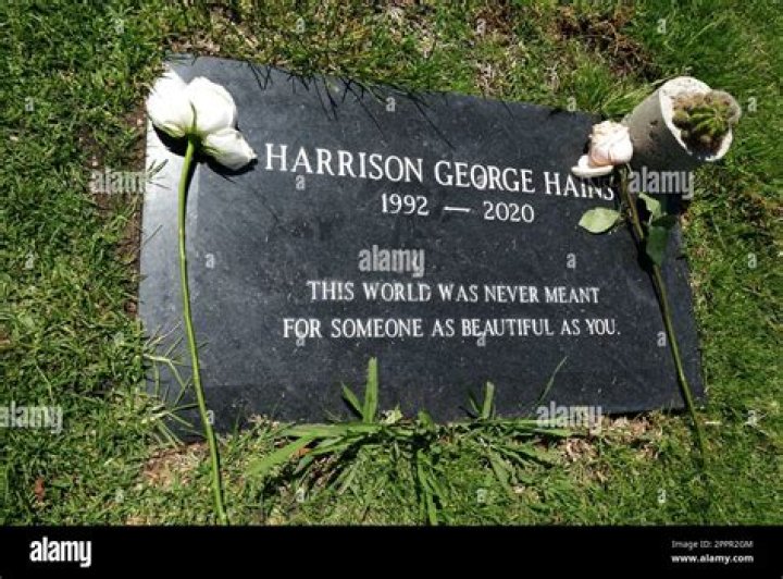 Let's Talk About How Harry Hains Died