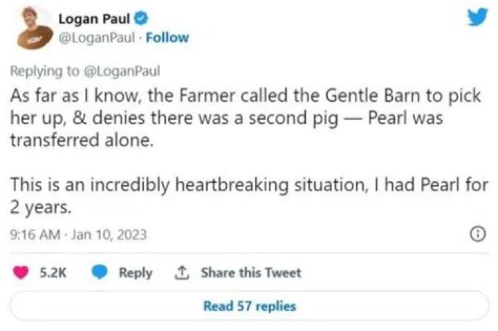 Logan Paul’s pig Pearl found abandoned and neglected, rescued by Gentle Barn Sanctuary