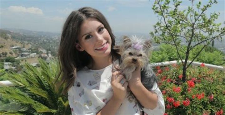 Madisyn Shipman Pets - Celebrity Pets