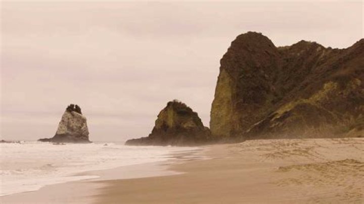 Manta Cruise: Best Cruises to Manta Ecuador