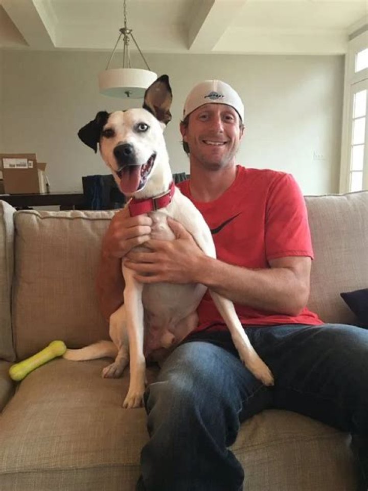 Max Scherzer Pets - Celebrity Pets