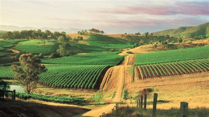 Newcastle Cruises: Best Cruises to Newcastle