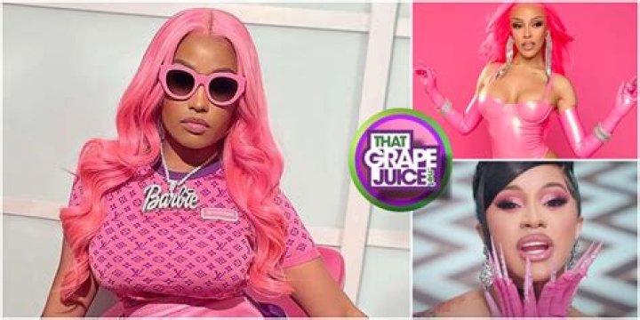 Nicki Minaj 'snatches' mic off fan after their 'terrible rendition' of her hit song