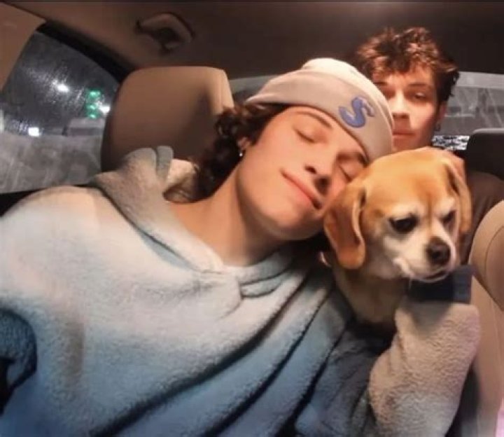 Nicolas Sturniolo Pets - Celebrity Pets