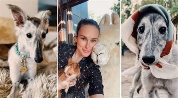 Rumer Willis Introduces Her New Dog Atlantis, a Silken Windhound To Match Her Sister Tallulah