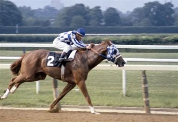 Running with Legends: The Life and Times of Secretariat