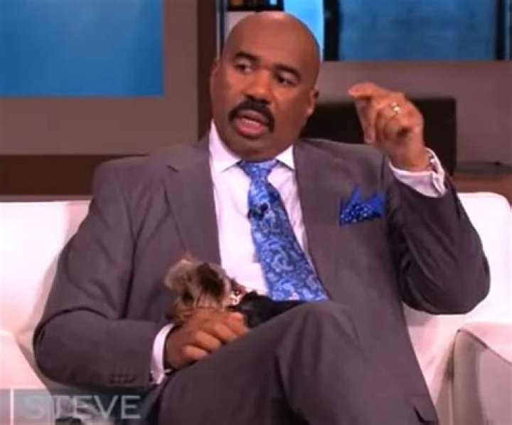 Steve Harvey Pets - Celebrity Pets