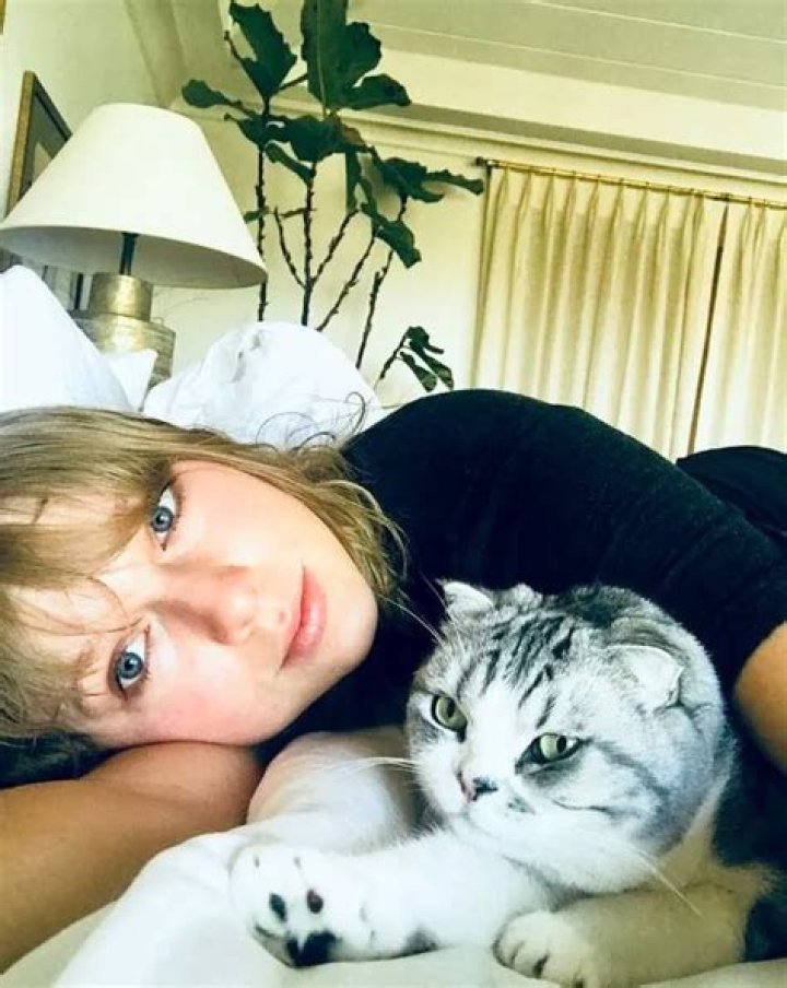 Taylor Swift’s Elusive Cat, Meredith Grey, Makes Rare Appearance With Ed Sheeran