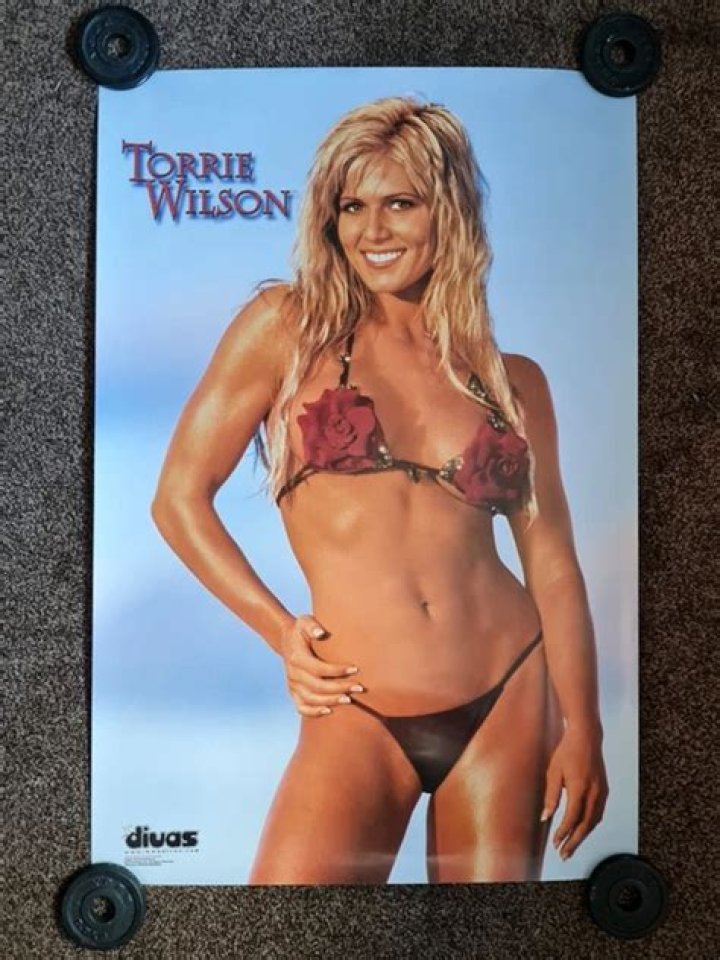 Torrie Wilson Poster G115285 - CelebPoster.com
