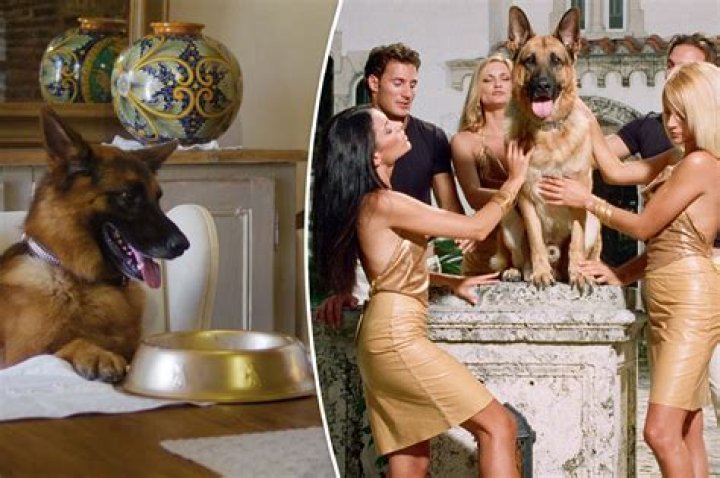 Was Countess Karlotta Liebenstein a real person?