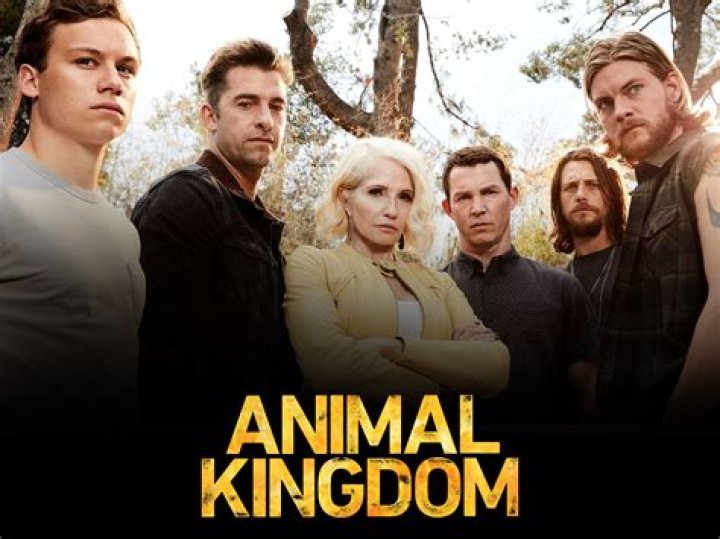 Where to watch Animal Kingdom season 5: Is it on Netflix?