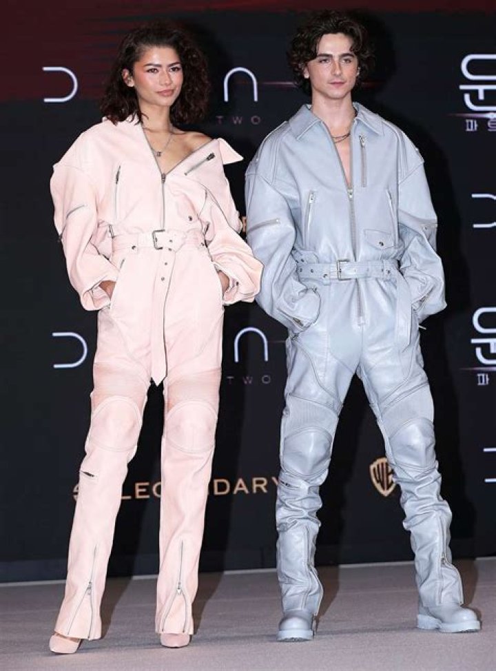 Zendaya and Timothée Chalamet look like 'high fashion Power Rangers' in matching jumpsuits